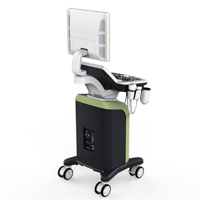 Zoncare 3D/4D Trolley Medical Digital Color Doppler Ultrasound System for Hospital