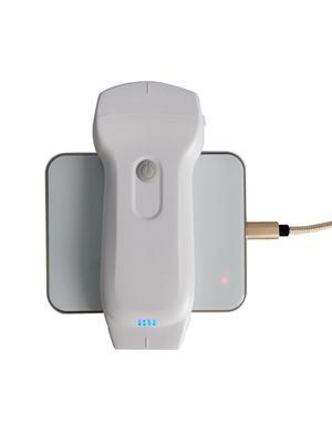5D HD Live Ultrasound Probe for Sale