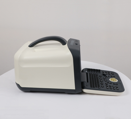 2021 Top Selling Medical Ultrasound Instruments, Portable B&w Ultrasound Scan Machine for Hospital