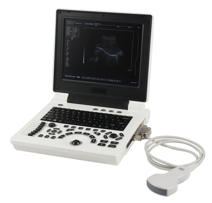 Black&white Portable Medical Ultrasound Scanner Machine for Vet Use