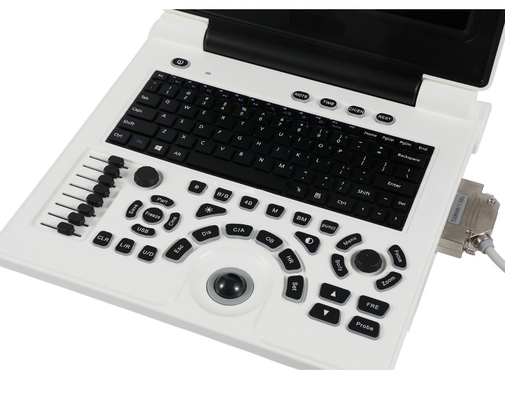 Black&white Portable Medical Ultrasound Scanner Machine for Vet Use